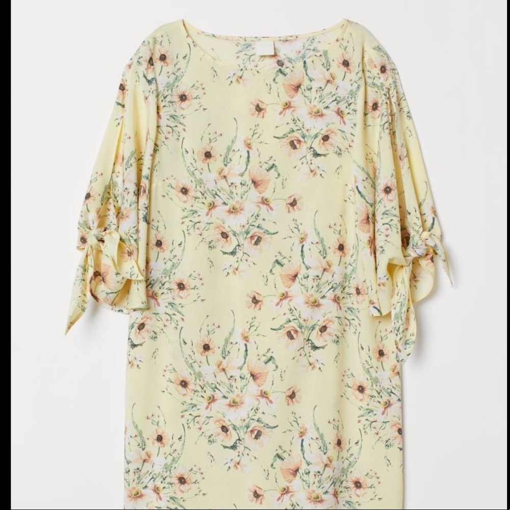 H&M Dress with Tie Sleeves 8